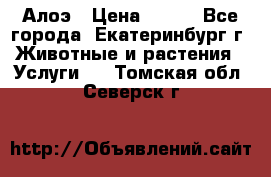 Алоэ › Цена ­ 150 - Все города, Екатеринбург г. Животные и растения » Услуги   . Томская обл.,Северск г.